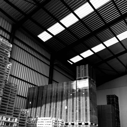 Central hortofrutícola Ripoll Carcaixent